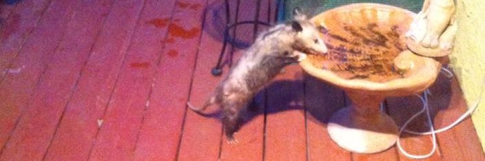 𝓷𝒂𝓽𝒆 is so very tired. banner