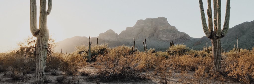 moderndiary_'s profile banner image