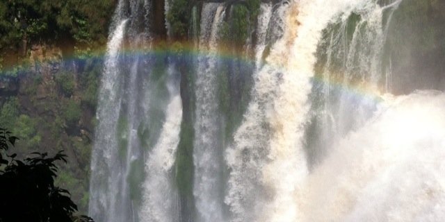 Runi_Bo's profile banner image