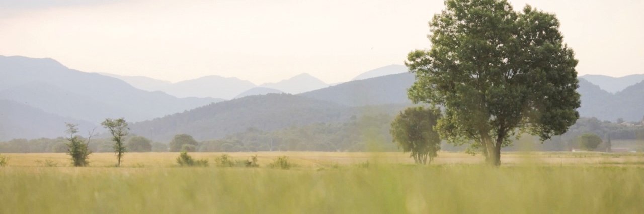 SociumFood's profile banner image