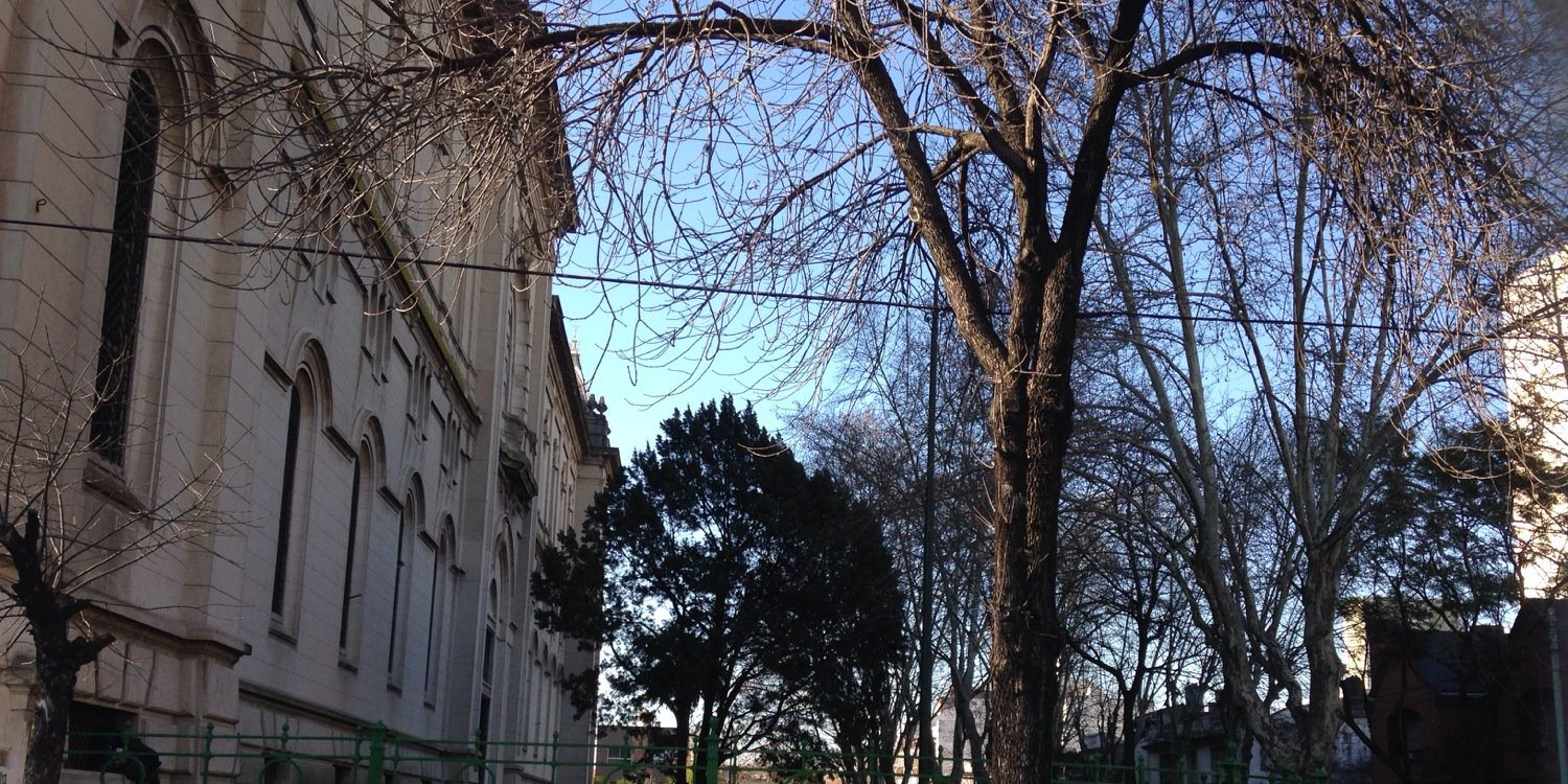 SalvemosDevoto's profile banner image