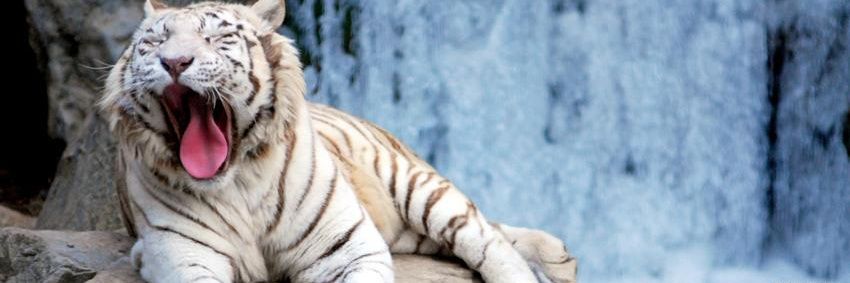 Kevin Johnson ツ☁️ banner