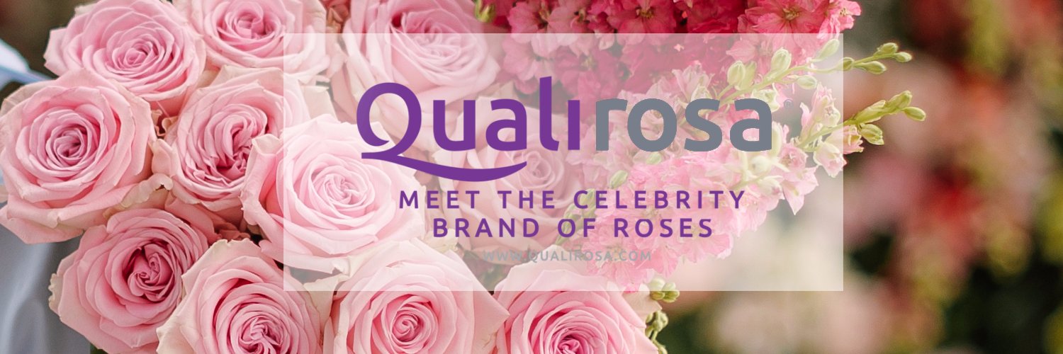 QualiRosa banner
