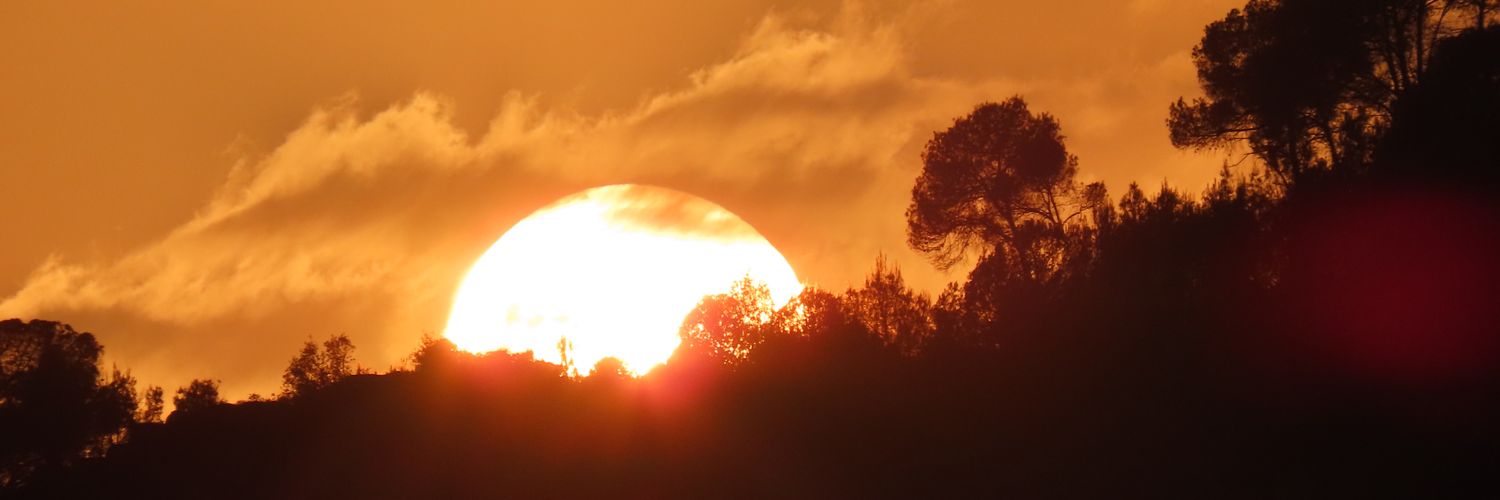 dafnetta's profile banner image