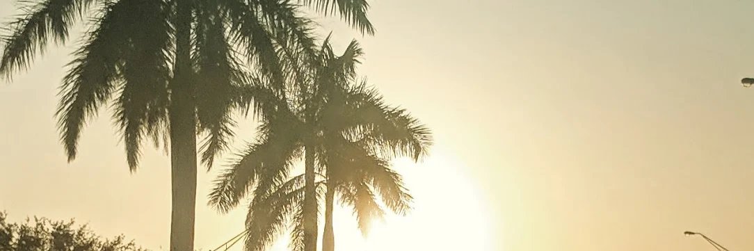 Jedihercules's profile banner image