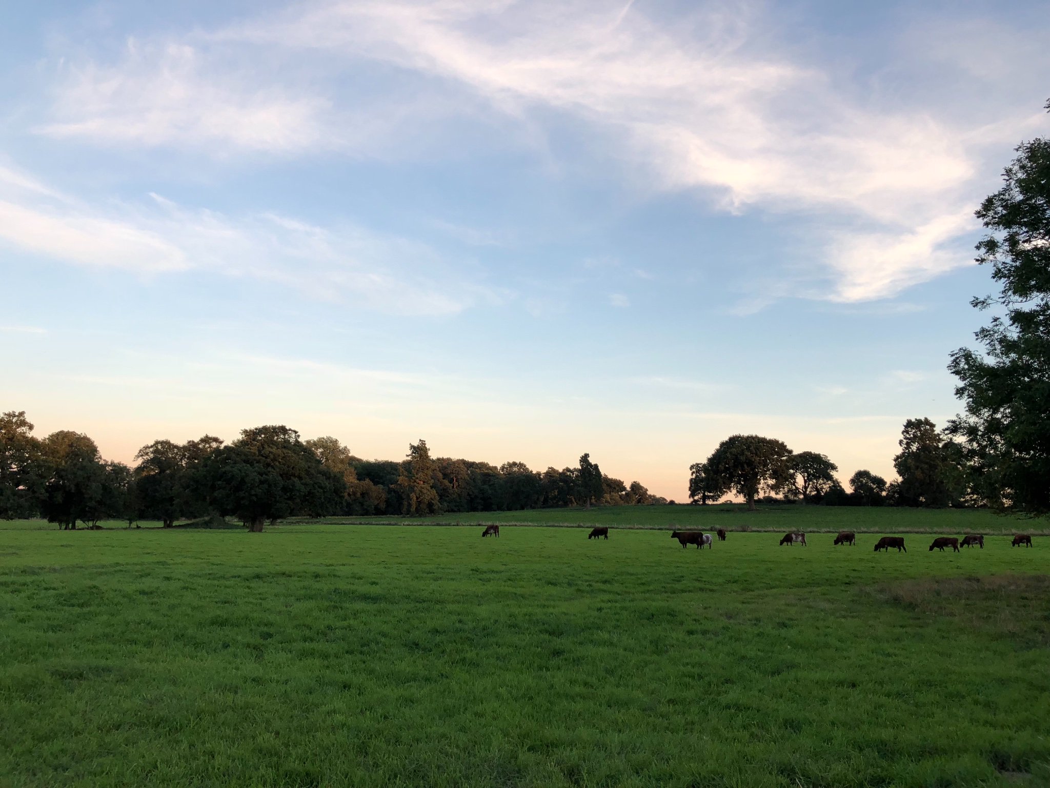 Calmbirthco's profile banner image