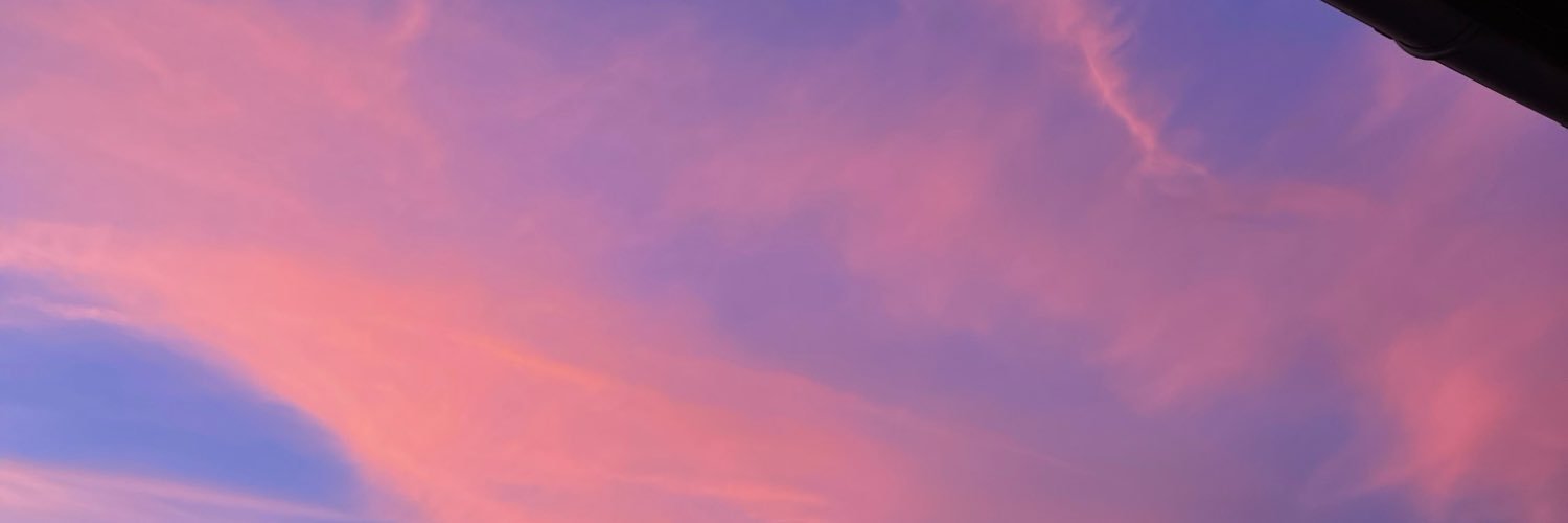 manondedn's profile banner image