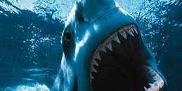 Landon Carter banner