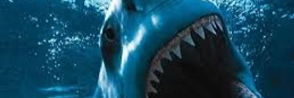 treehuggerLC Profile Banner