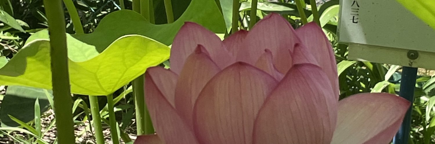 ohanahan8753's profile banner image