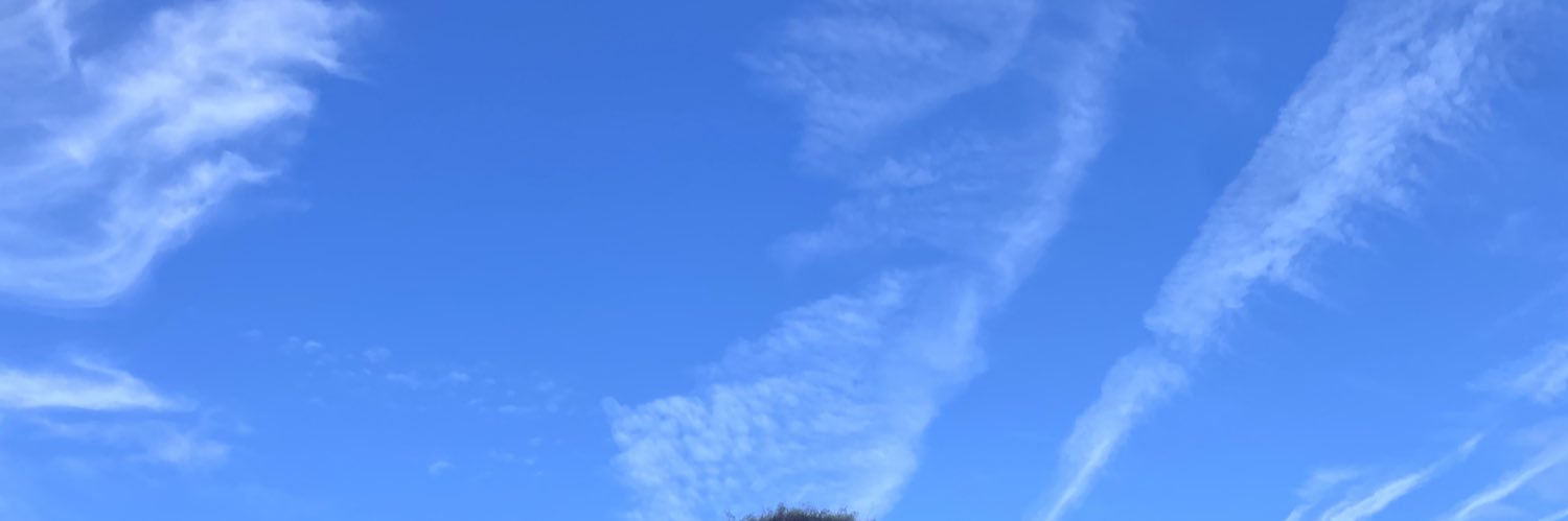 messimira47's profile banner image