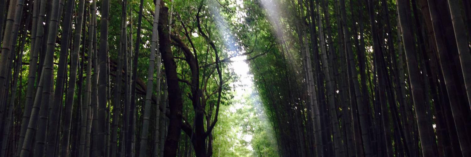 morganeper's profile banner image