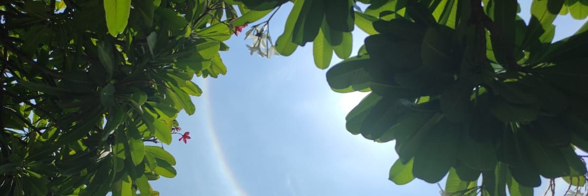 gadi_jee1's profile banner image