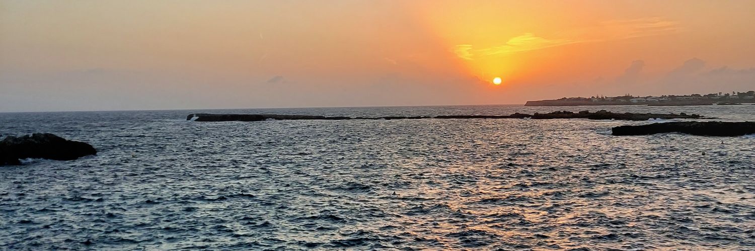 AlaiaAL's profile banner image