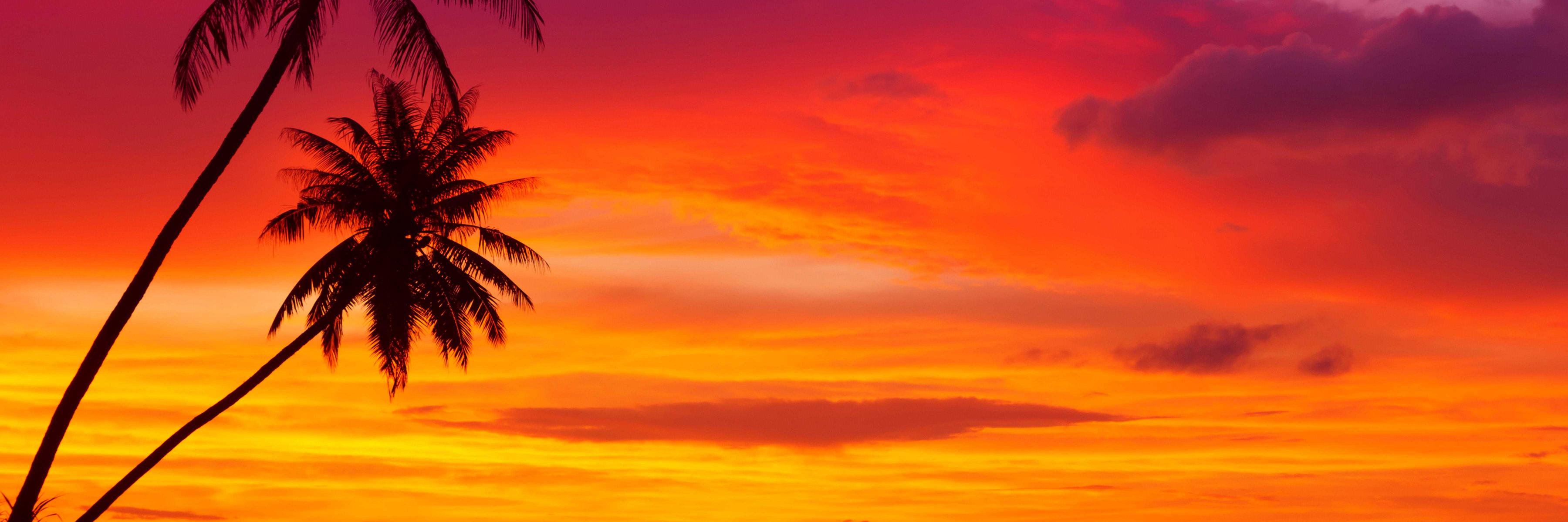 letsluau's profile banner image