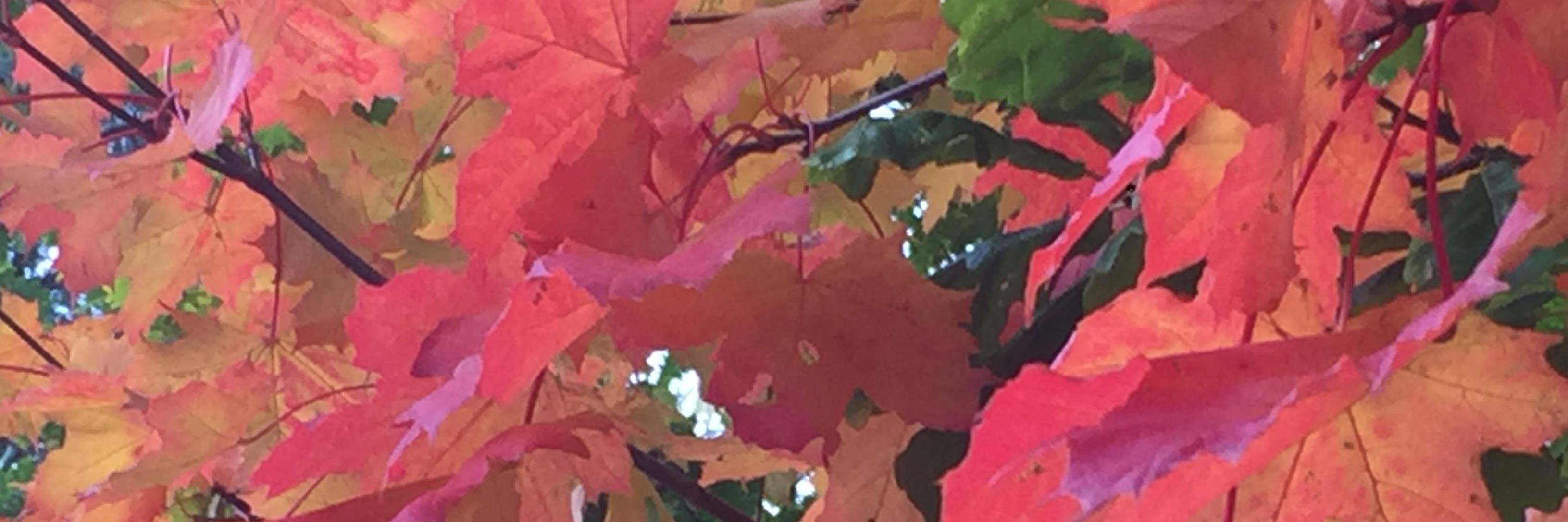 JenniferWenn's profile banner image