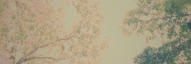 knjones00's profile banner image