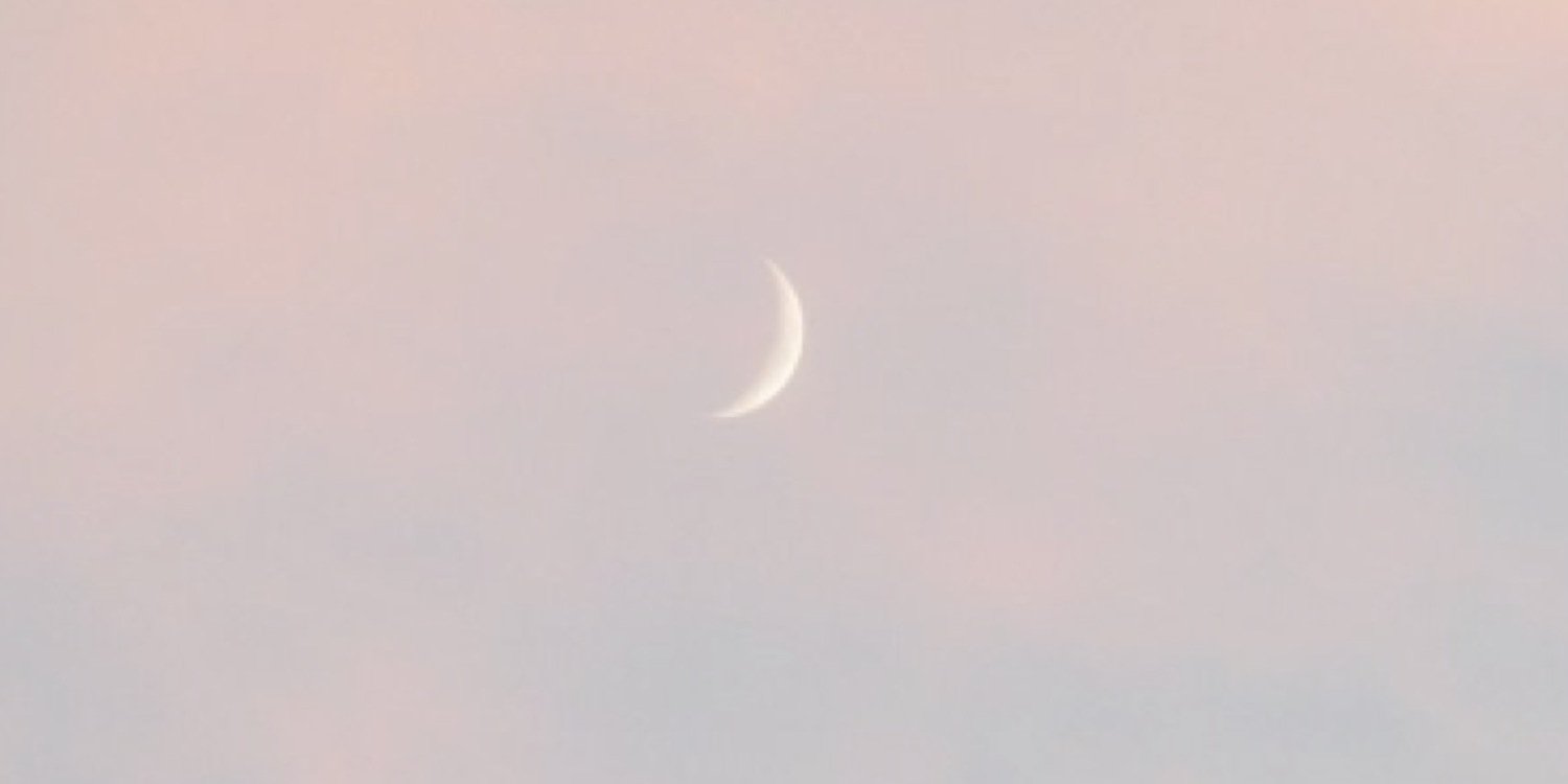 TrendArianators's profile banner image