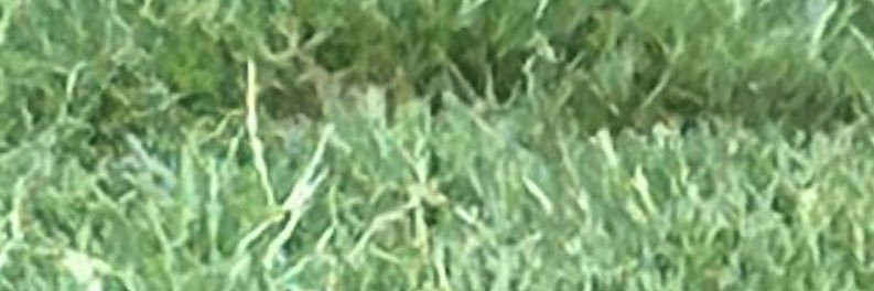 aghock's profile banner image