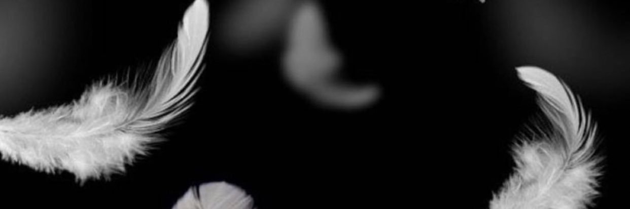 ozlememecan's profile banner image