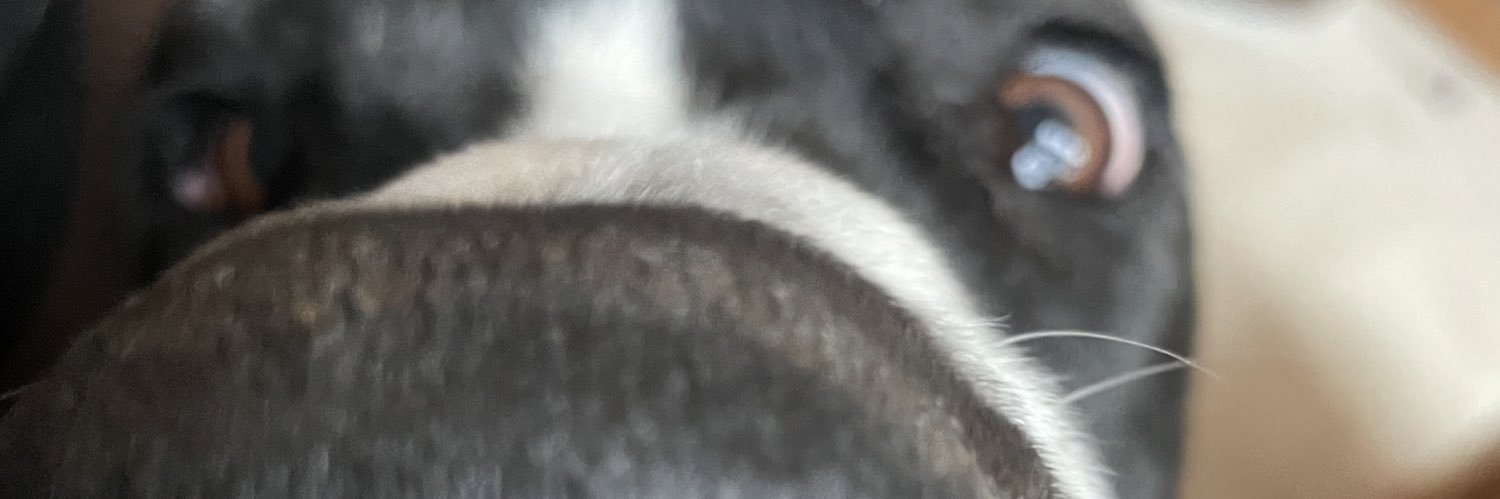mlllvn's profile banner image