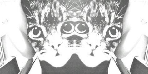 BrookRPGNT's profile banner image