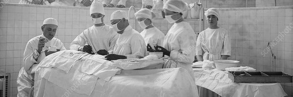 FennerBrittany Profile Banner