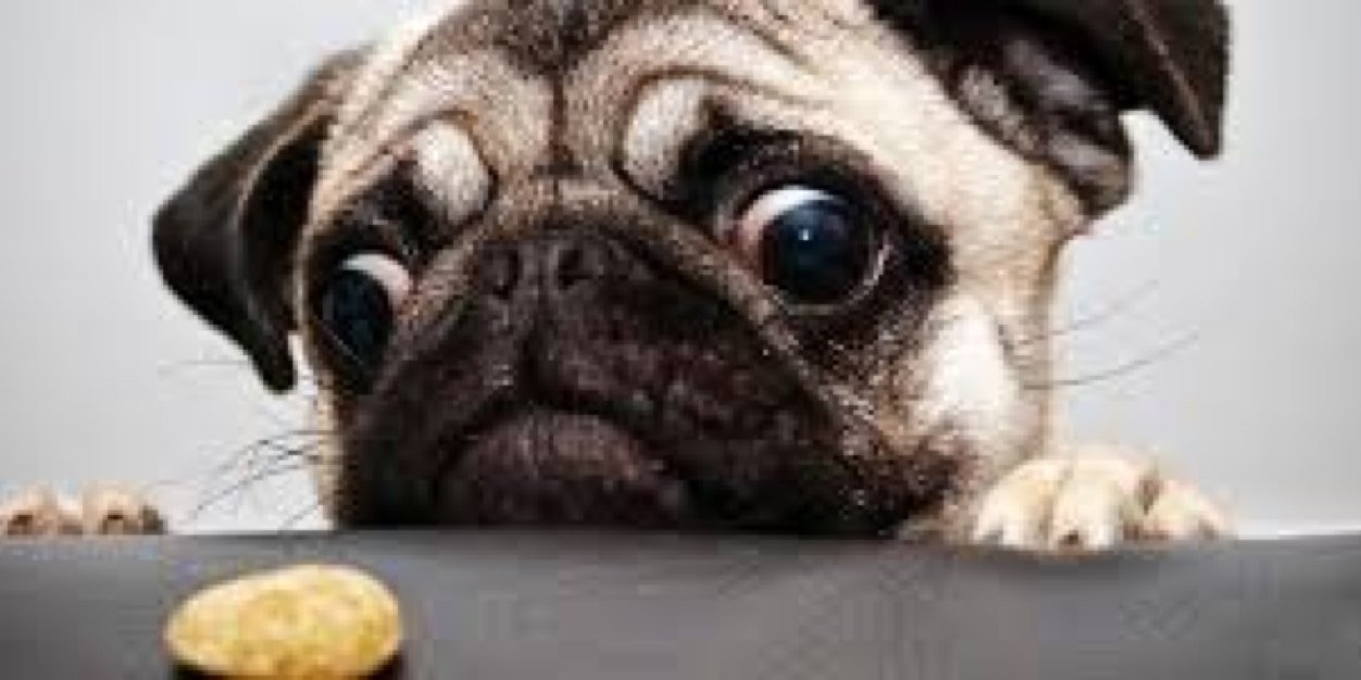 midrazer's profile banner image