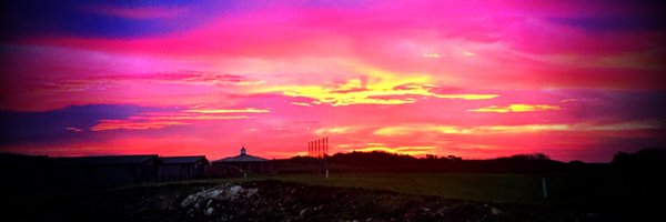 sasutty Profile Banner