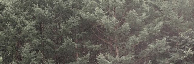 RoseTannahill's profile banner image