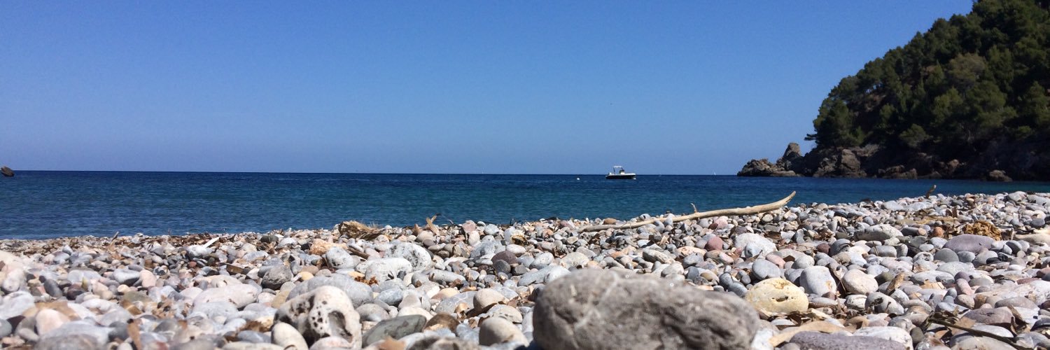 Guiem Es Pont banner