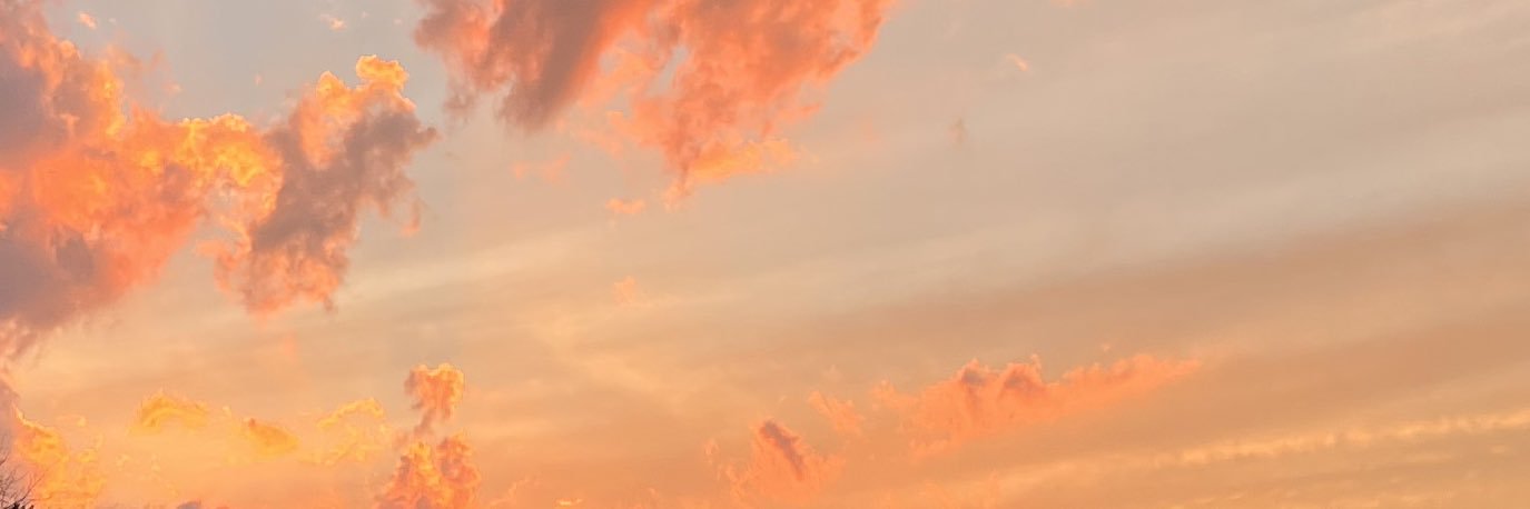 gracecourson_'s profile banner image