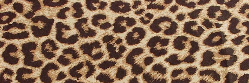 KayseaMarx's profile banner image