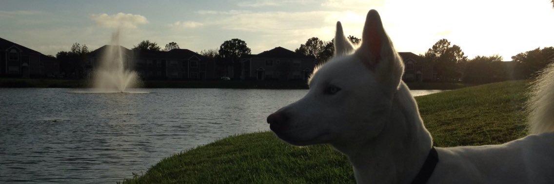 Dequi28's profile banner image