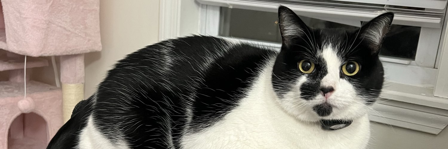 wtfdijpumn's profile banner image