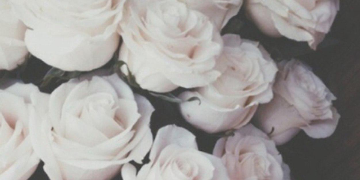 senayesilyurt's profile banner image