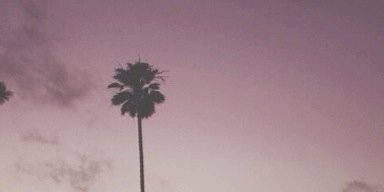 cabelloscgdr's profile banner image