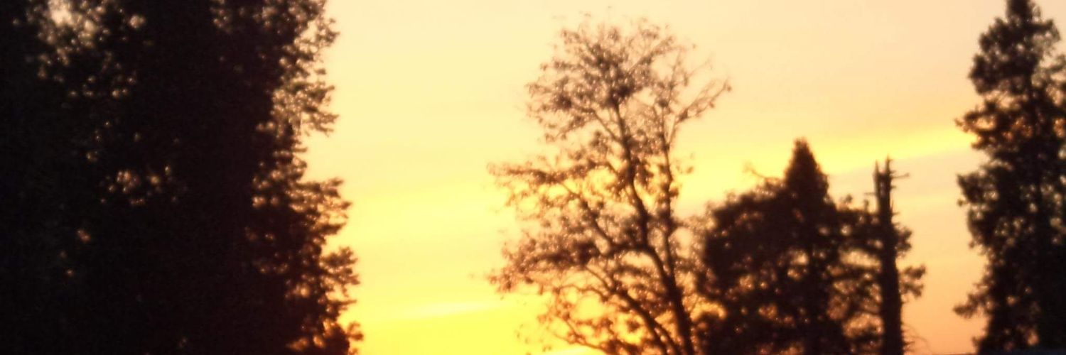 BenedictoryCuss's profile banner image