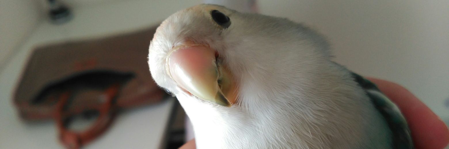 efrde_'s profile banner image
