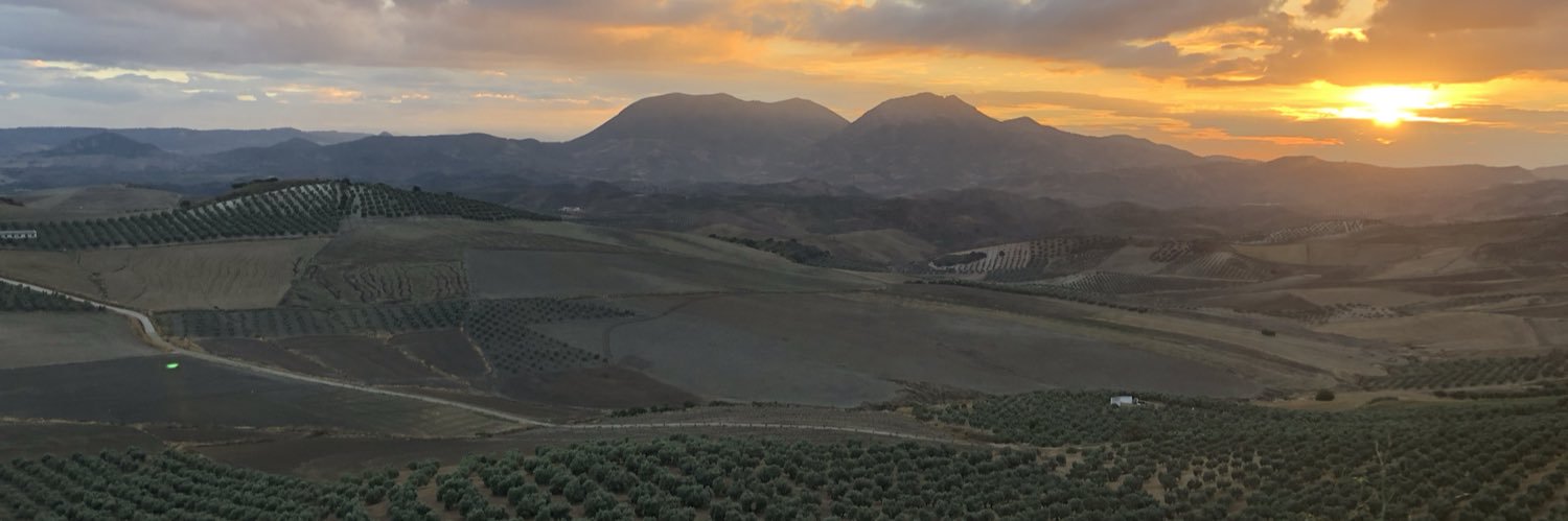 LappanII's profile banner image