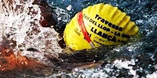 Swimfaster banner