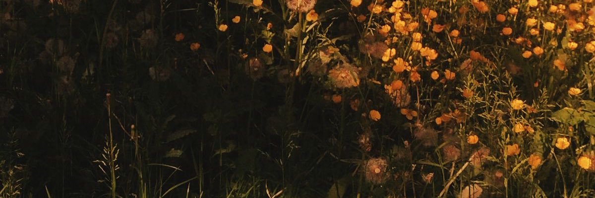 diegomolinazz's profile banner image