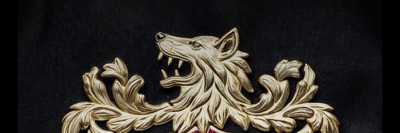 serifoglu34's profile banner image
