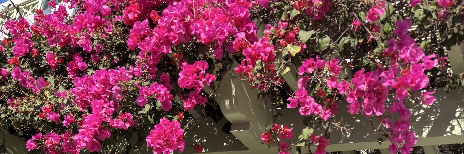EllissiaR's profile banner image