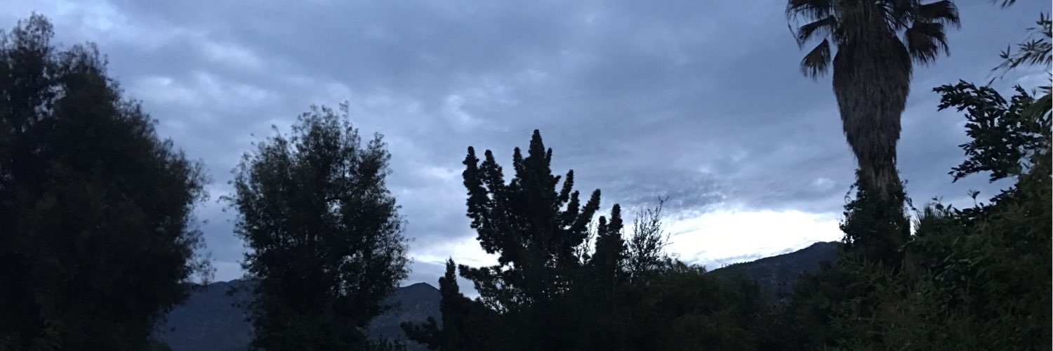 AlisaDonner's profile banner image