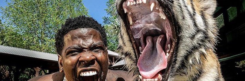 _yaaasjazz's profile banner image