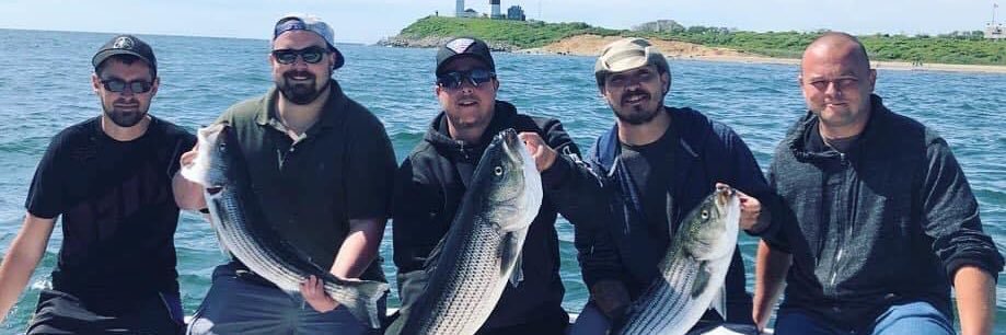 tmassaro33's profile banner image