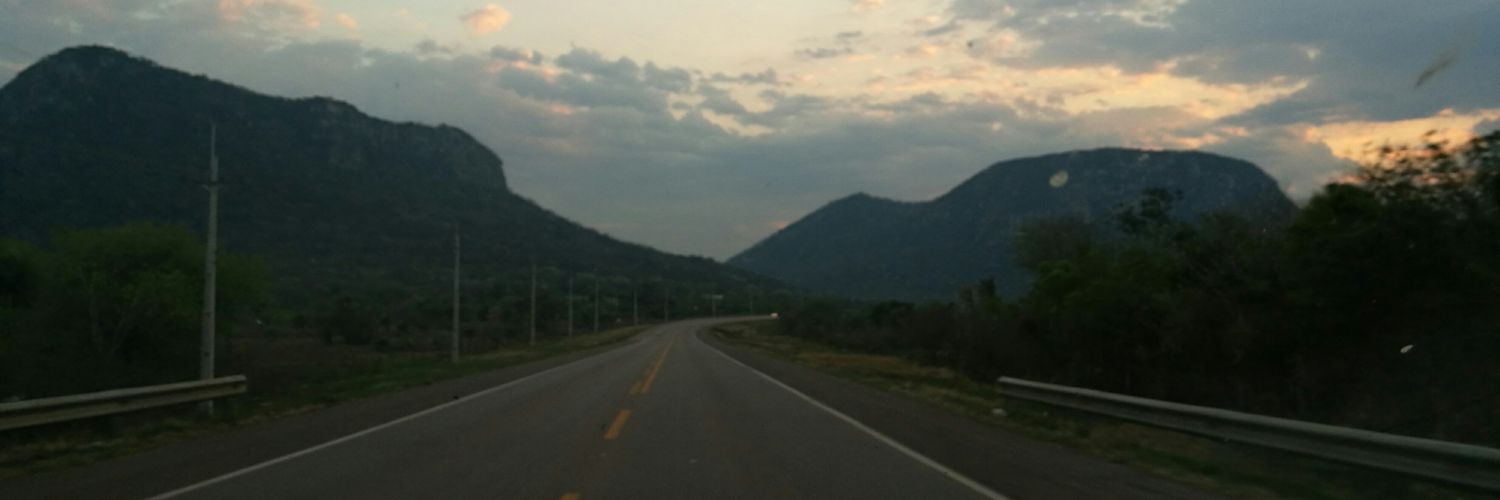 Wilcardozo's profile banner image