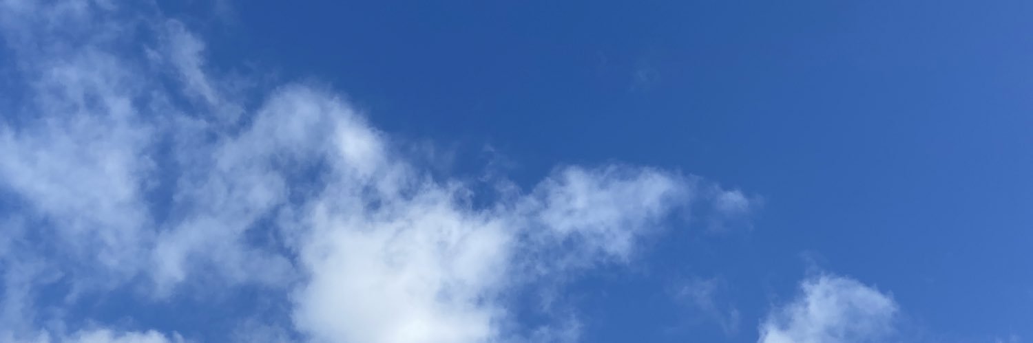 Victoria_Hannah's profile banner image