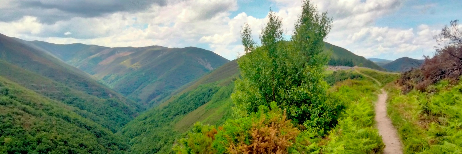 eubiodiversity's profile banner image